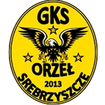 Stroje piłkraskie wykonane dla GKS Orzeł Srebrzyszcze przez Jerset Clinic